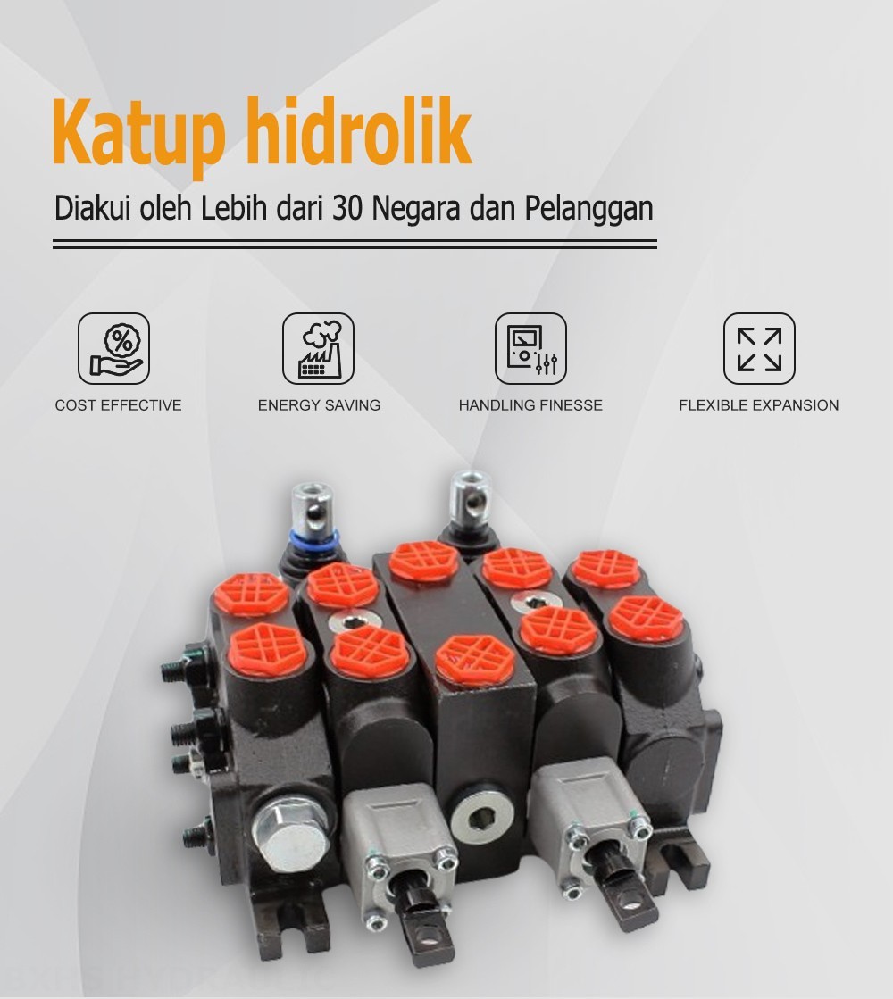 DCV60-Double control Buku Panduan 2 Spul Kran Arah Bagian